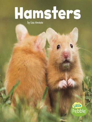 cover image of Hamsters